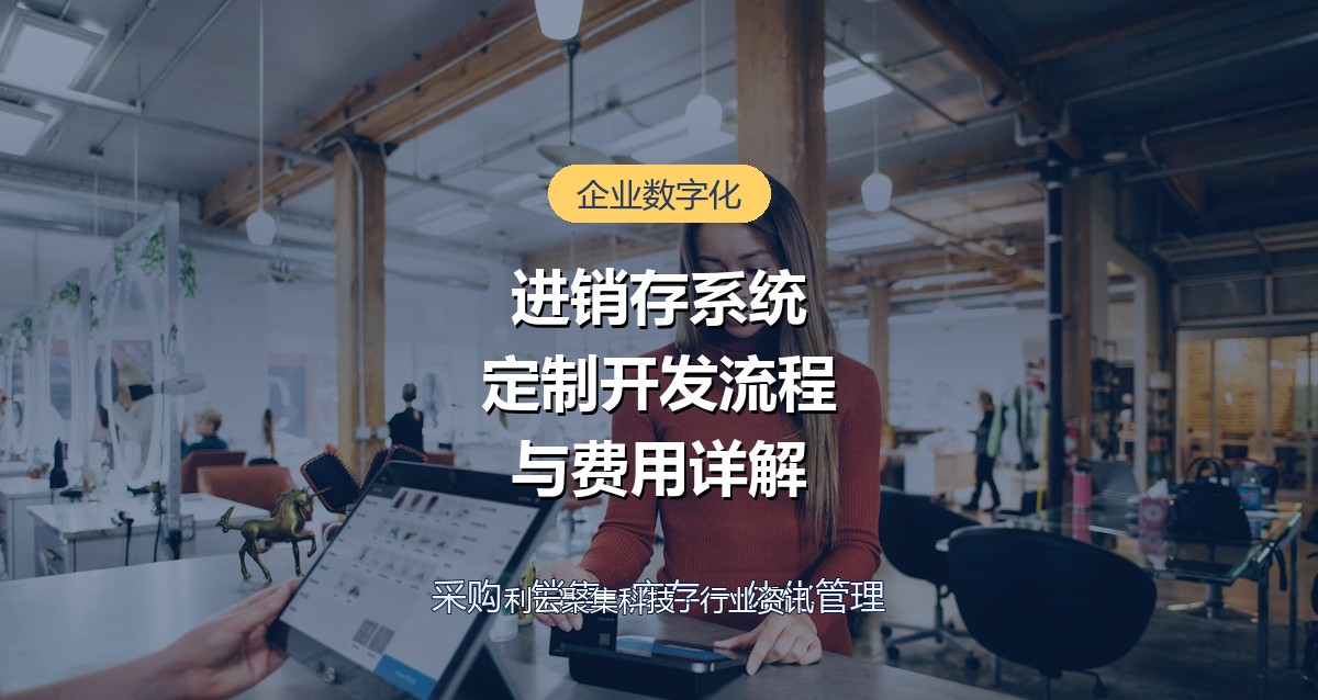 进销存系统定制开发流程与费用详解