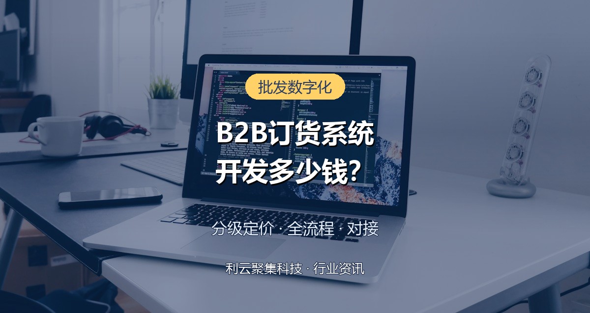 B2B订货系统开发多少钱?价格构成与分级定价方案详解