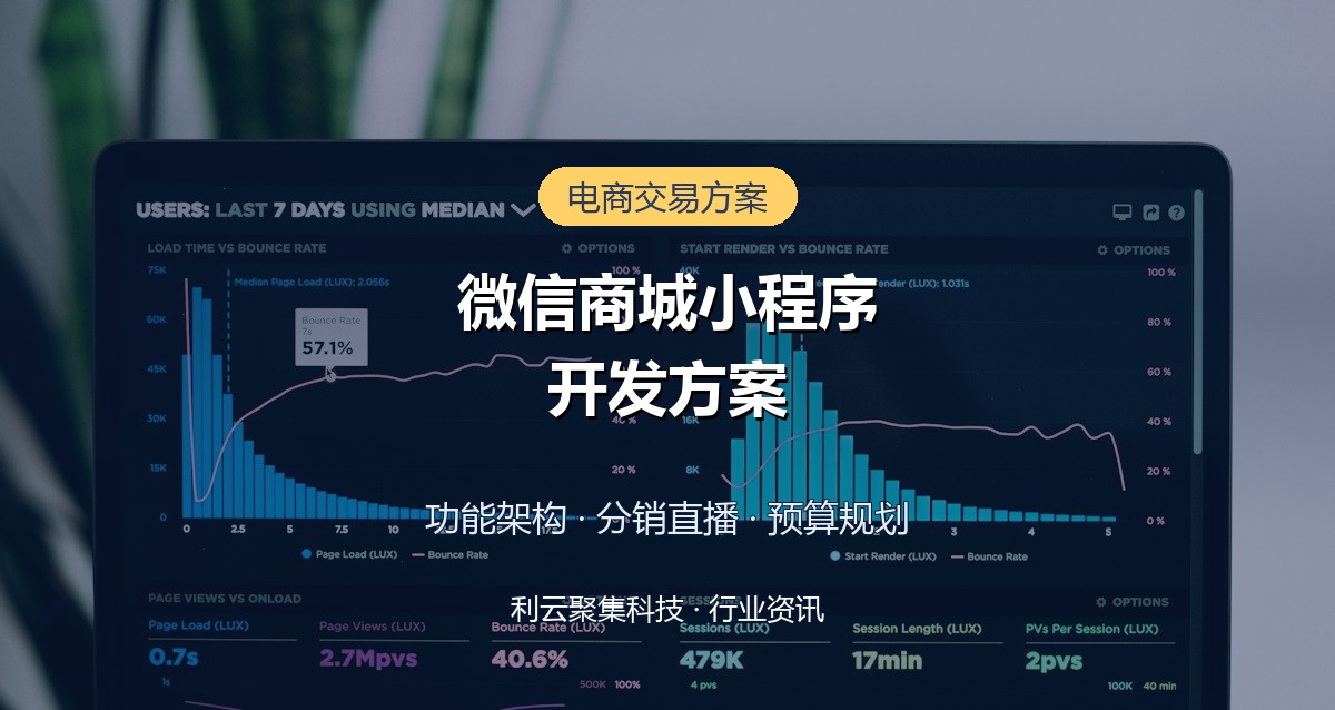 微信商城小程序开发方案怎么定?功能规划与预算全指南